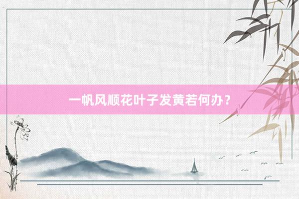 一帆风顺花叶子发黄若何办？