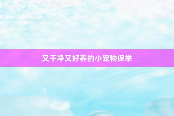 又干净又好养的小宠物保举